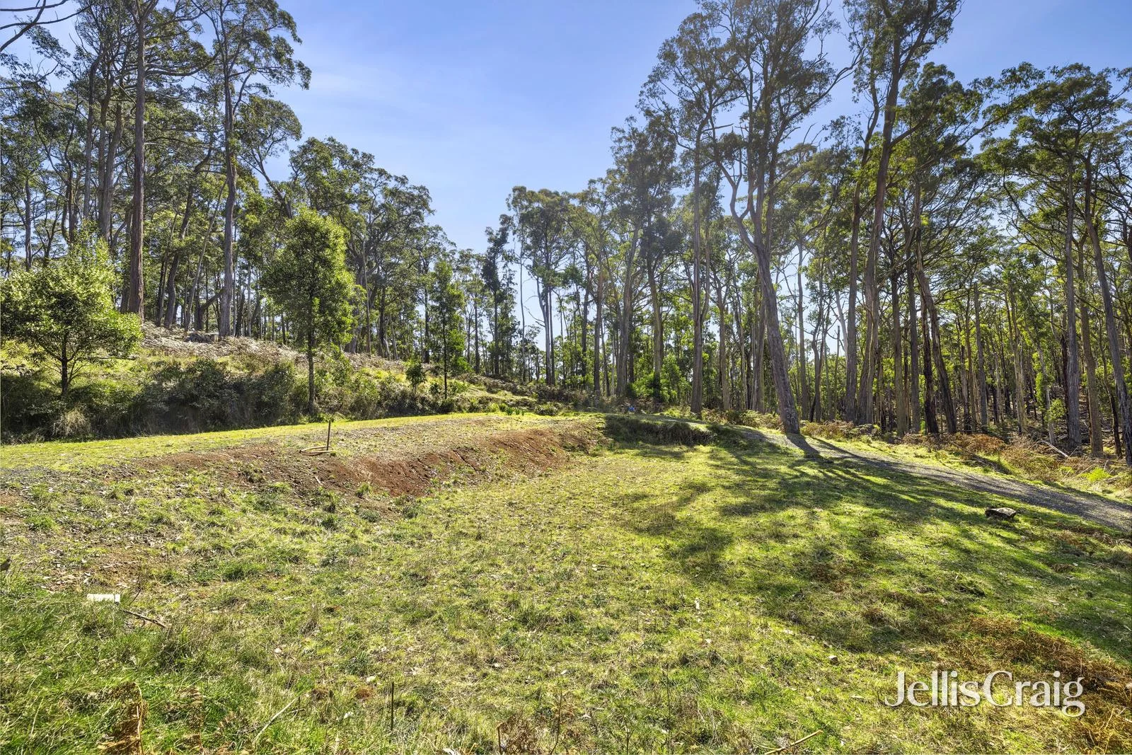 Additional image 3 of 100 Fern Road, Little Hampton VIC 3458