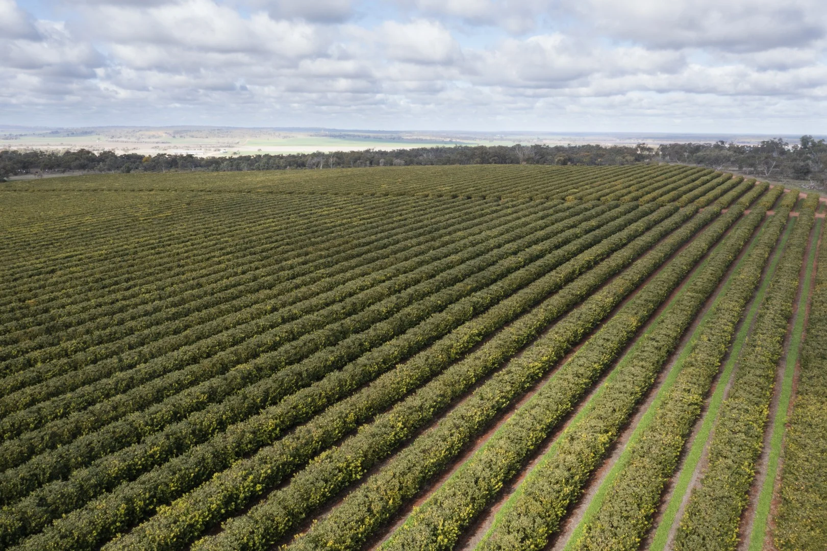 203 Payten Road, Corbie Hill NSW 2705