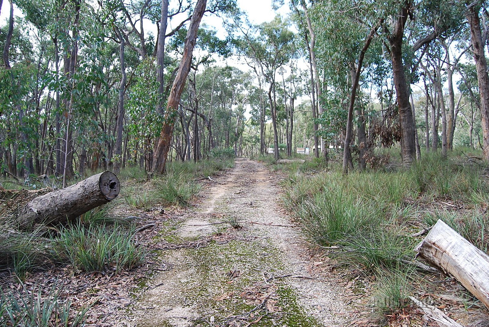 15 Casey Road, Scarsdale VIC 3351, Image 1