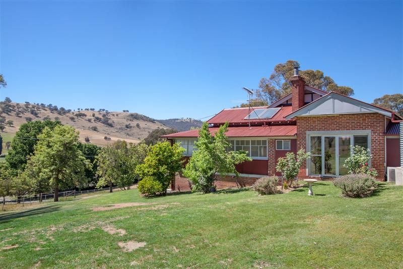 729 Grahamstown Road,, Adelong NSW 2729, Image 1