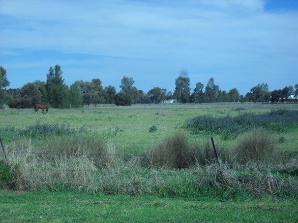 Picture of LEETON NSW 2705