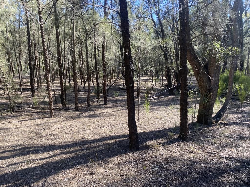 Lot102DP750969 Yarraman Road, Wybong NSW 2333 Vacant Land for Sale