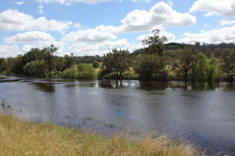 'Fernlee' 557 Pindari Dam Rd, Ashford NSW 2361, Image 0