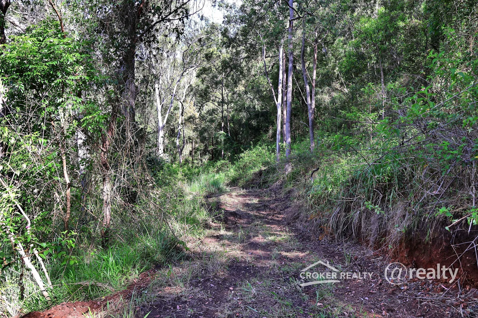 Additional image 11 of 260 Collins Valley Road, Collins Creek NSW 2474