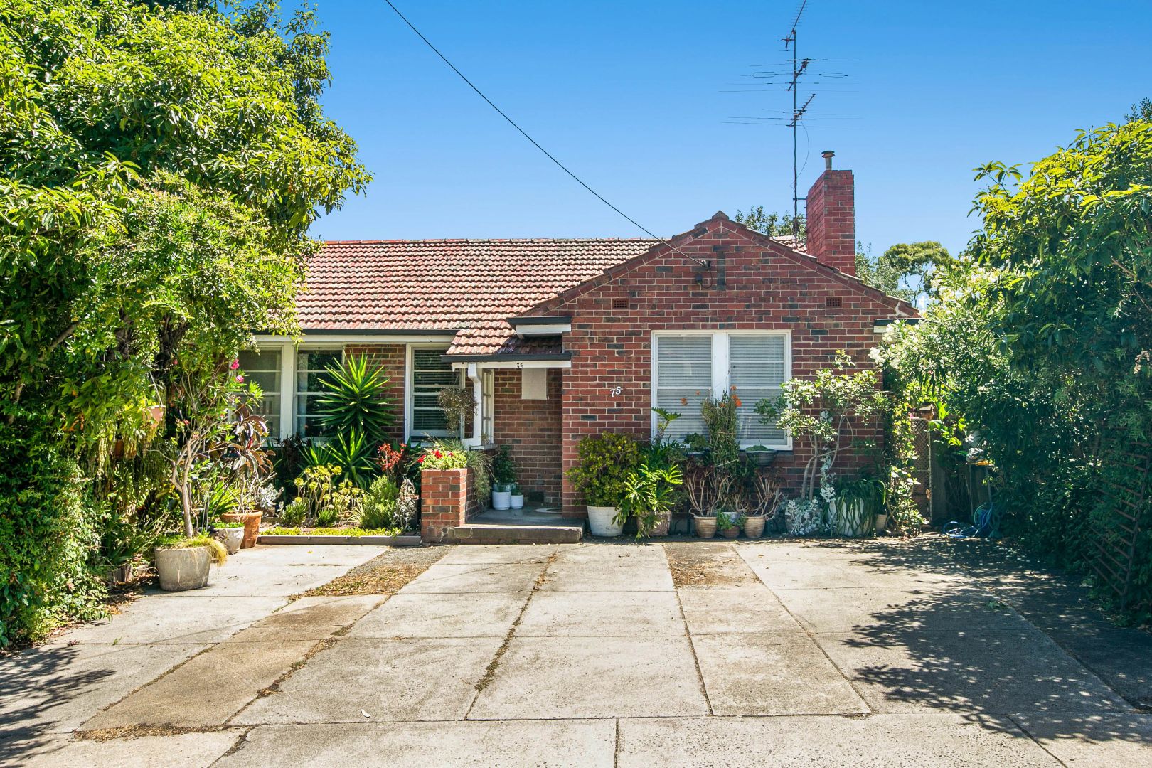 75 Elizabeth Street, Coburg Property History & Address Research Domain