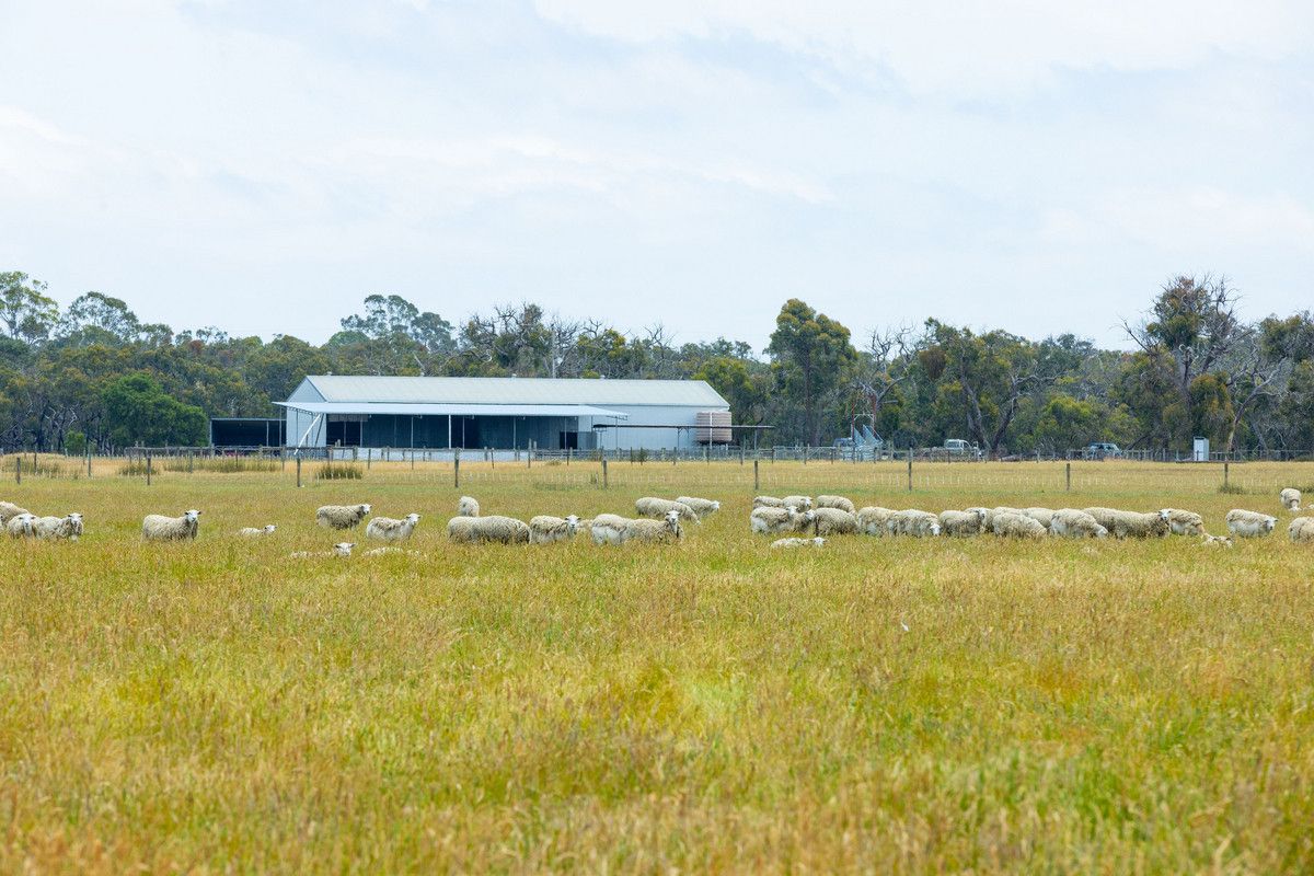 "Hinkleys" Powers Creek-Edenhope Road, Powers Creek VIC 3312, Image 0