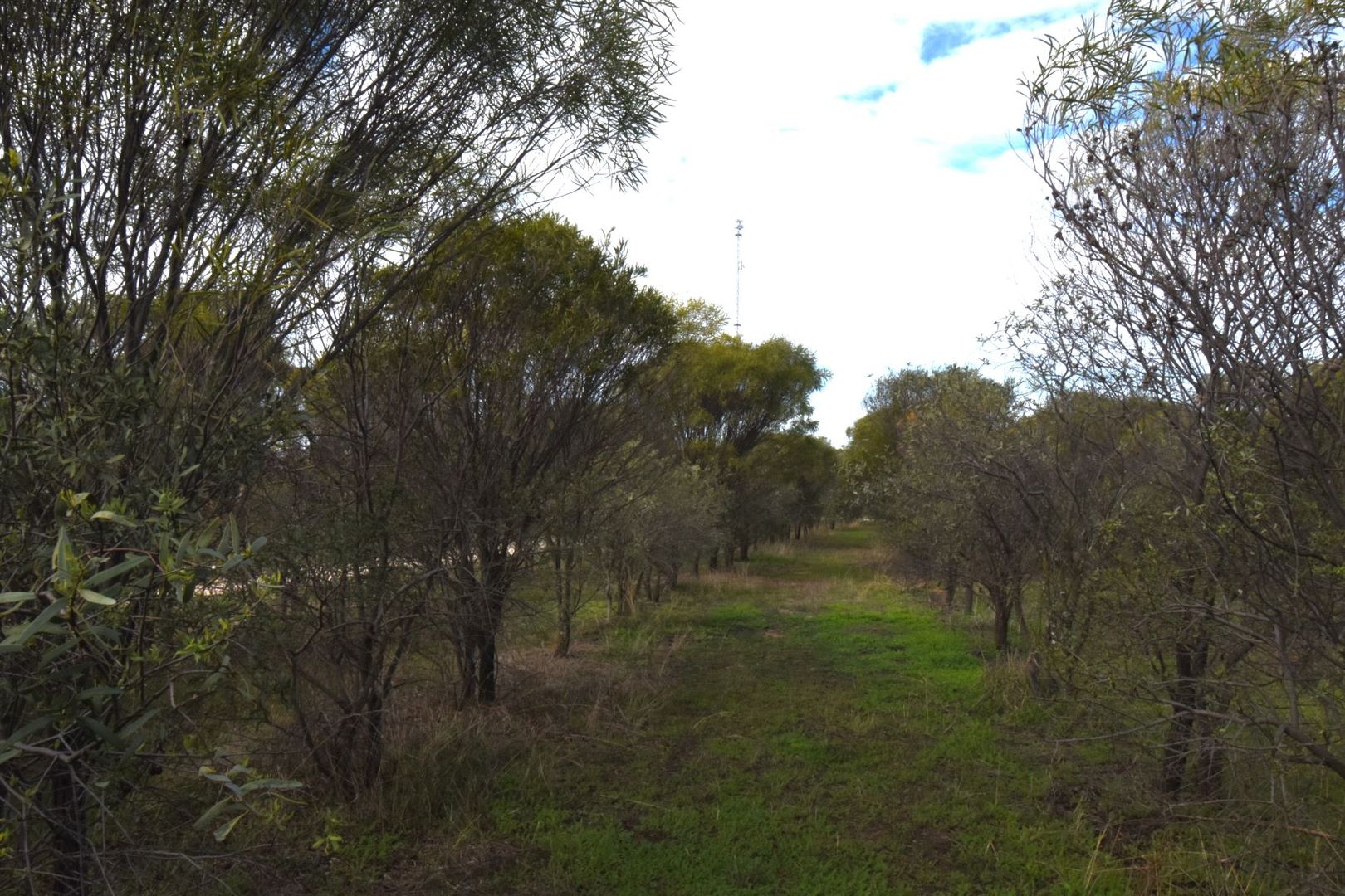 Lot 18493 Tutanning Road, East Pingelly WA 6308, Image 1