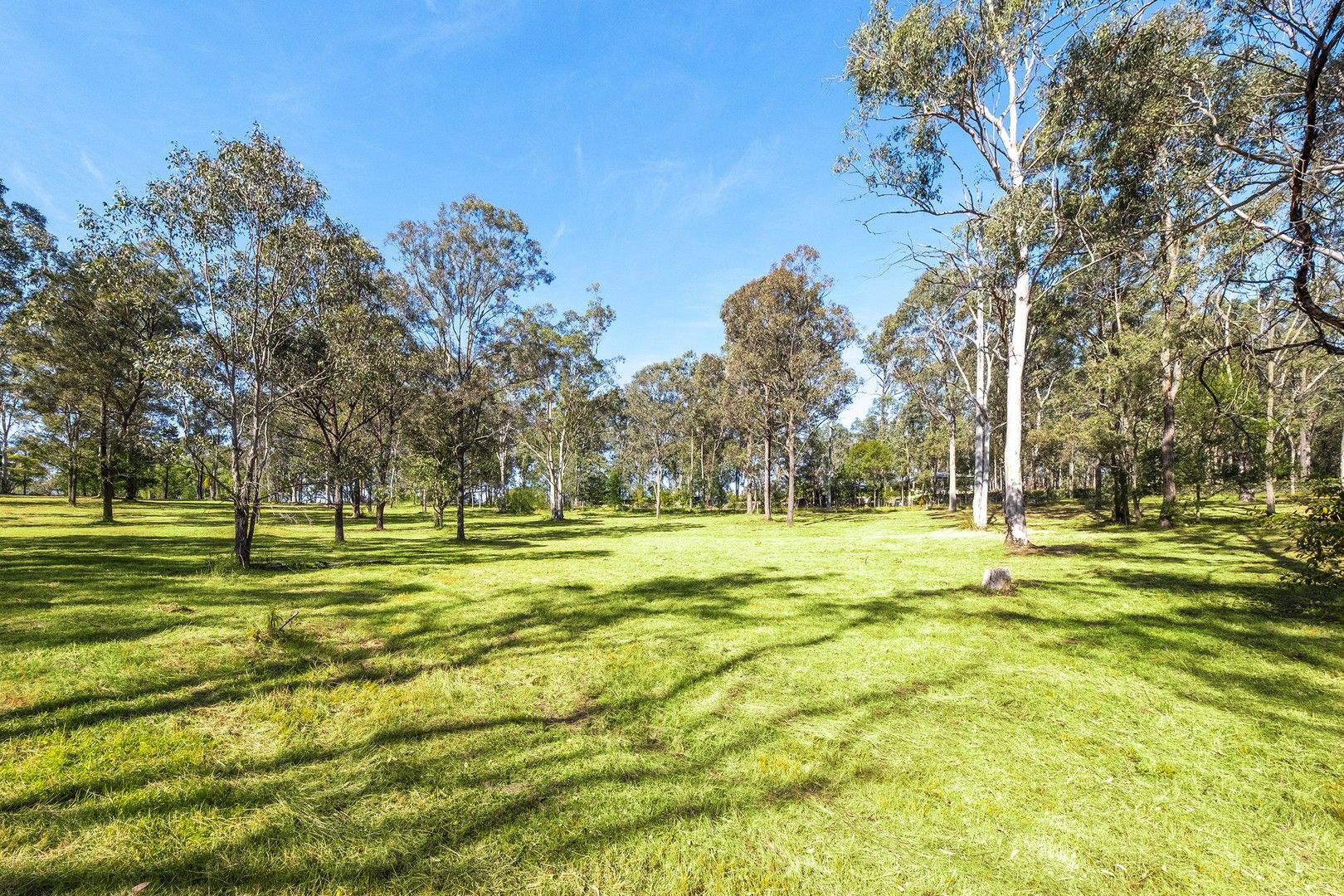 Proposed Lot 12 of 321A East Kurrajong Road, East Kurrajong NSW 2758, Image 1