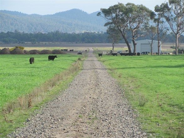 351 Old Bangor Tram Road, Mount Direction TAS 7252