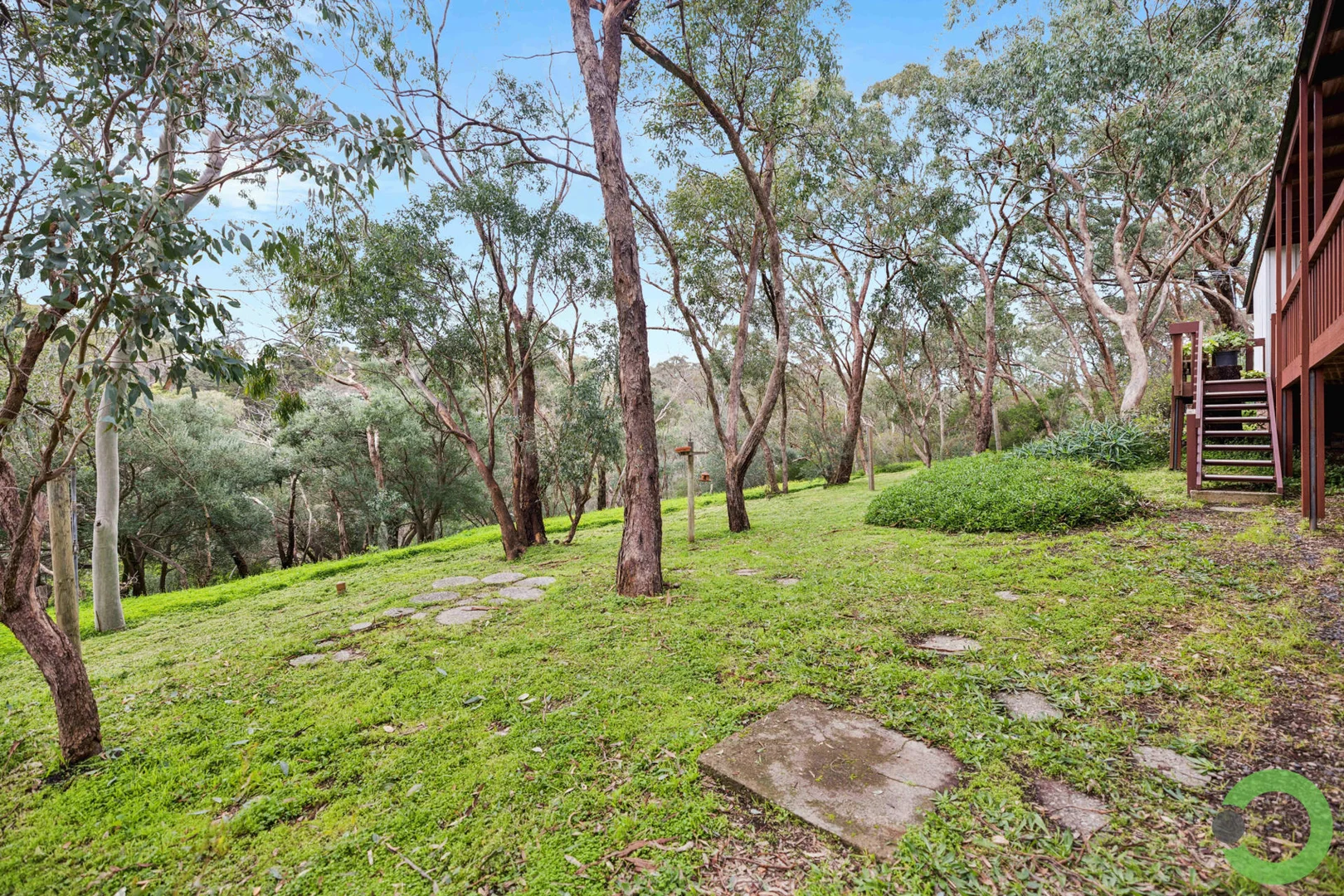 Image 10