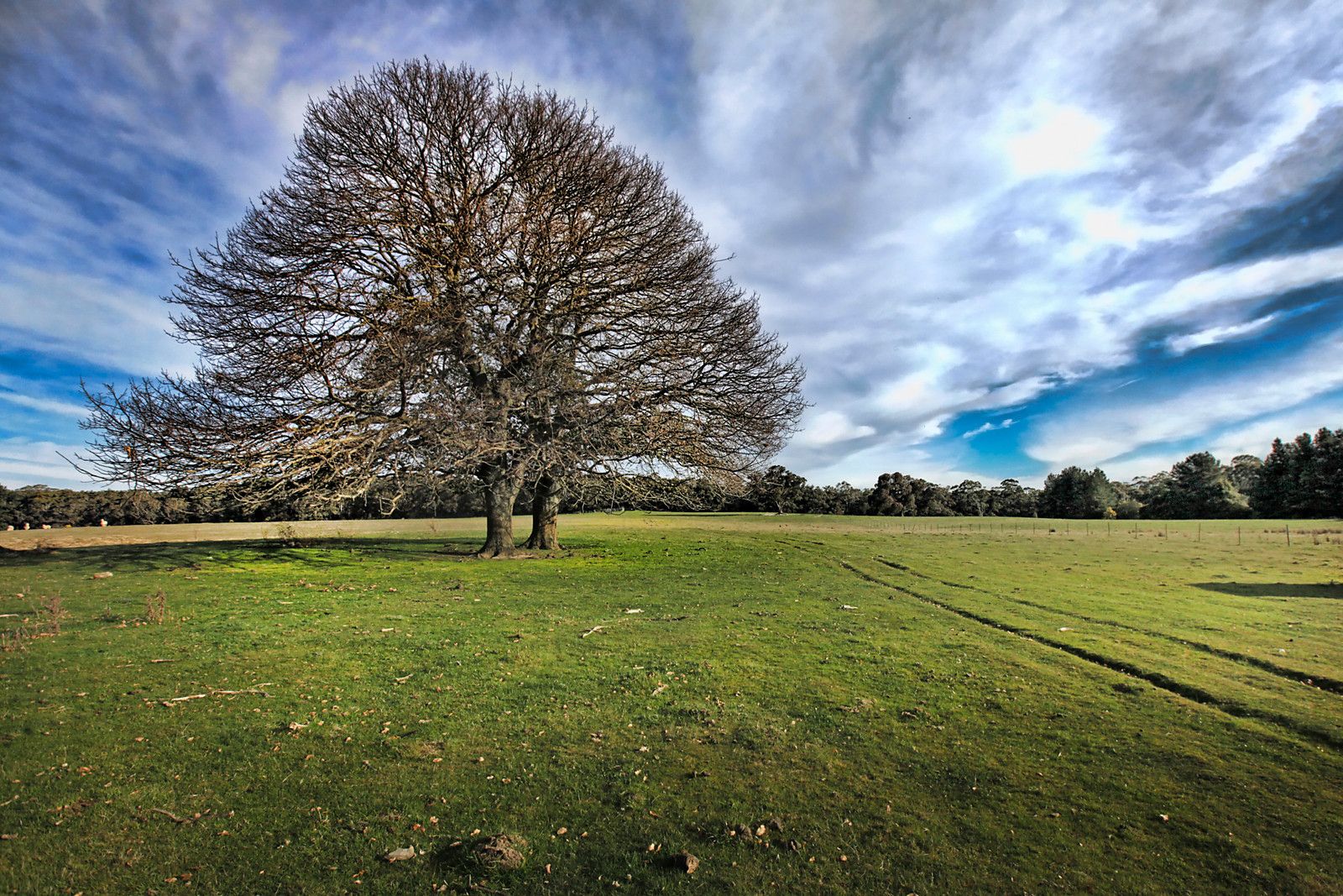 Lot 3 McGiffords Road, Tylden VIC 3444, Image 1