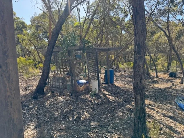 Image 13
