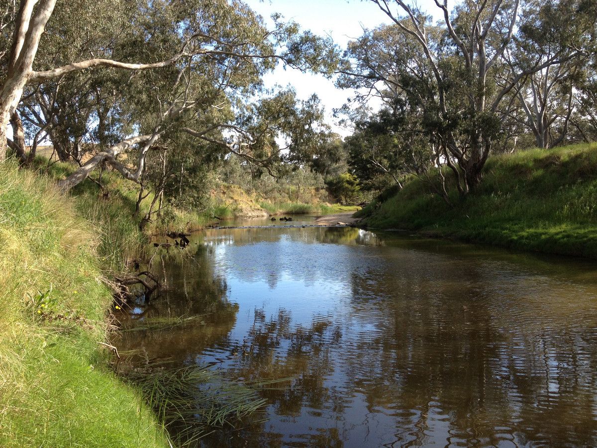 70 Sealeys Road, Sandford VIC 3312, Image 2