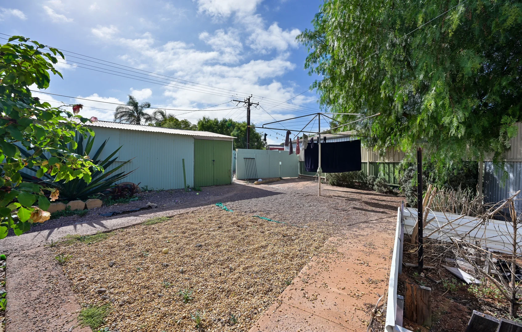 Image 12