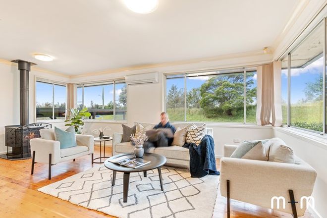 1295 Real Estate Properties For Sale In Wollongong Illawarra Nsw Domain