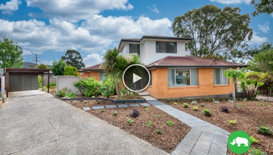 Picture of 11 Laura Place, QUEANBEYAN NSW 2620