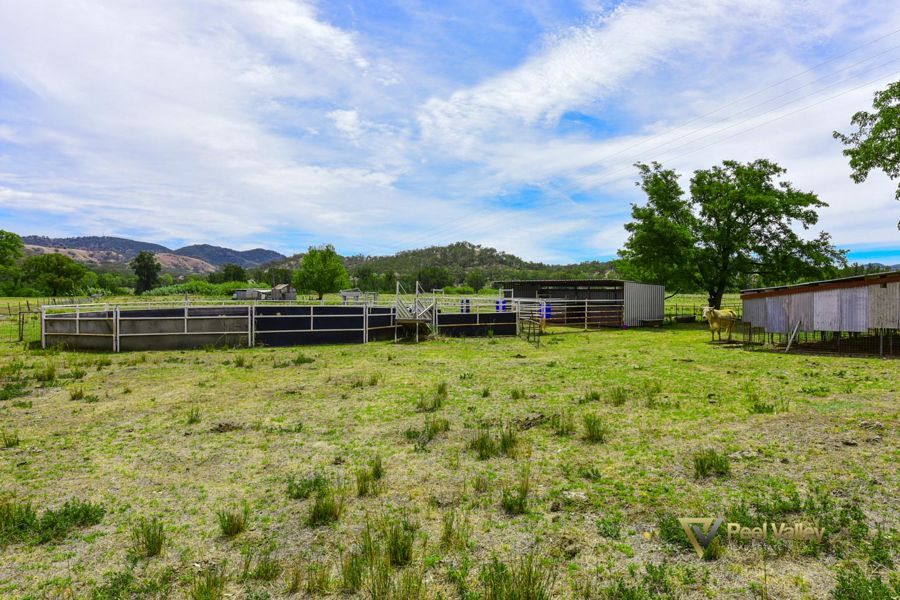 Craiglea Lot 4 Back Kootingal Road, Tamworth NSW 2340, Image 1