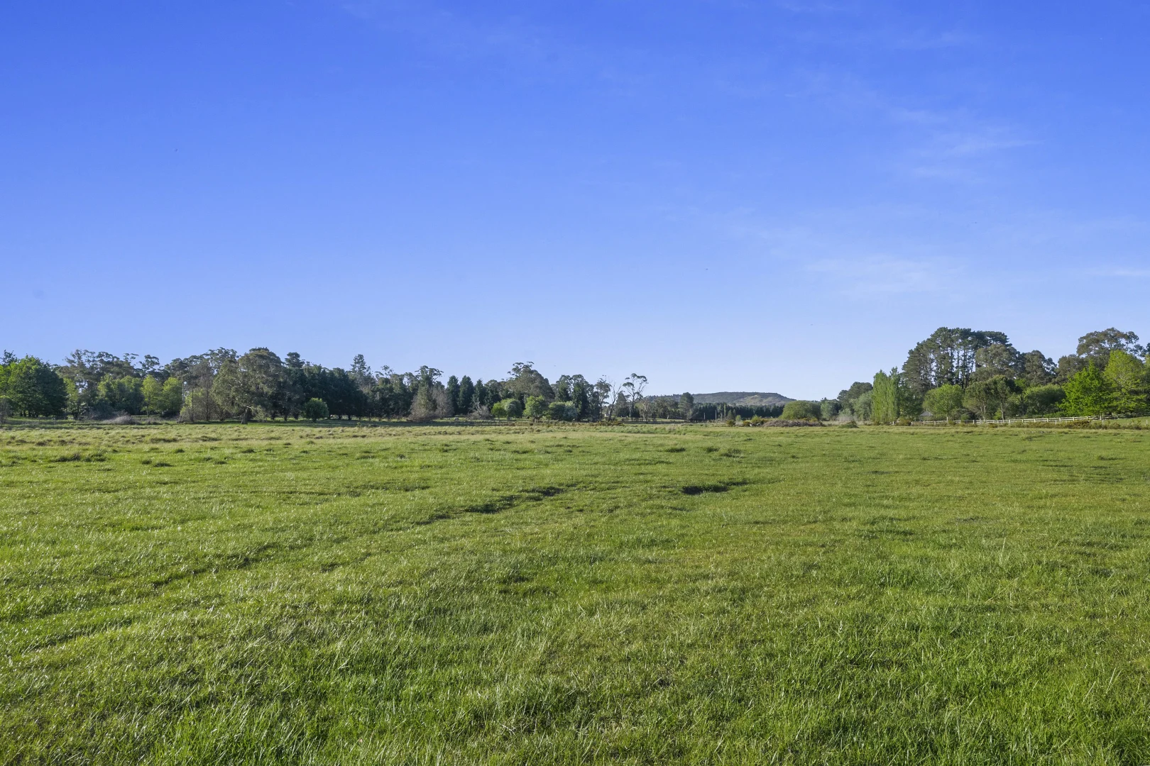 Image 24