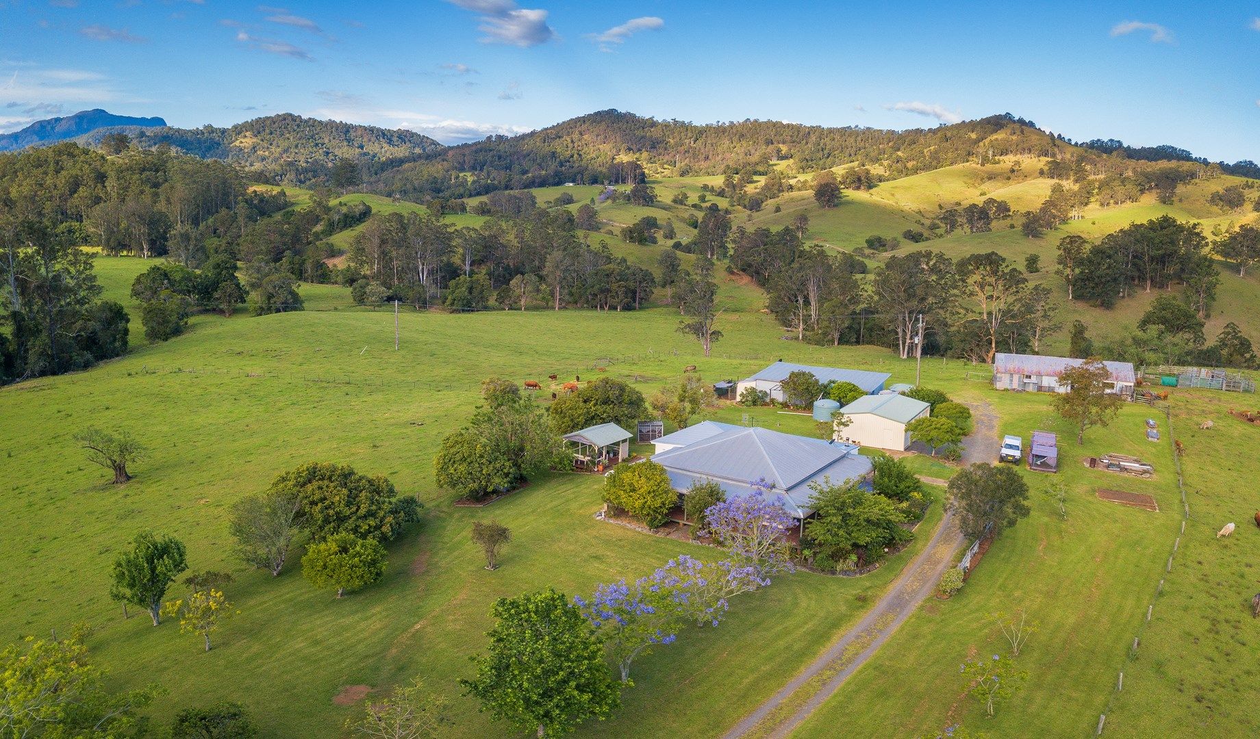 "Carinya" 916 Mooral Creek Road, Strathcedar NSW 2429, Image 0