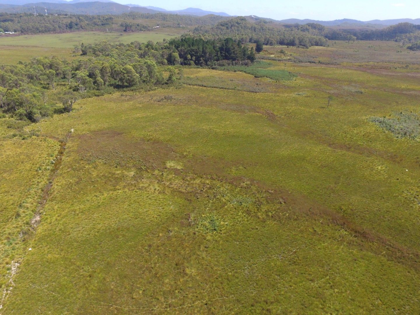 Zeehan TAS 7469 Vacant Land for Sale Domain