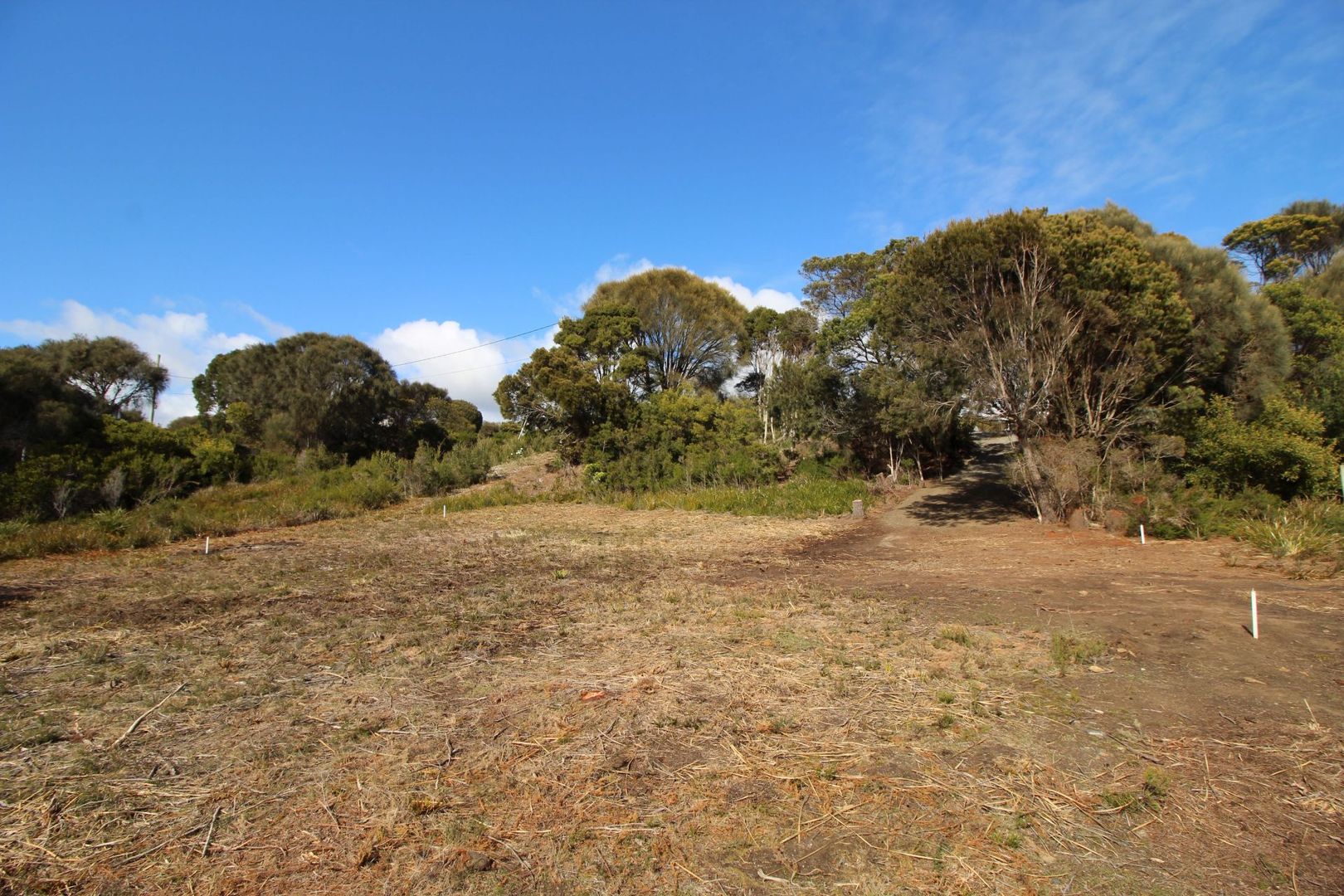 22 Pars Road, Greens Beach TAS 7270, Image 2