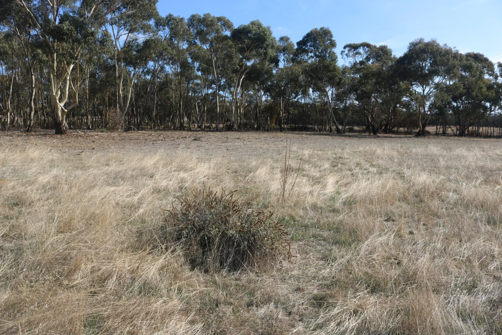 Additional image 8 of Old Boort Road, Woolshed Flat VIC 3518