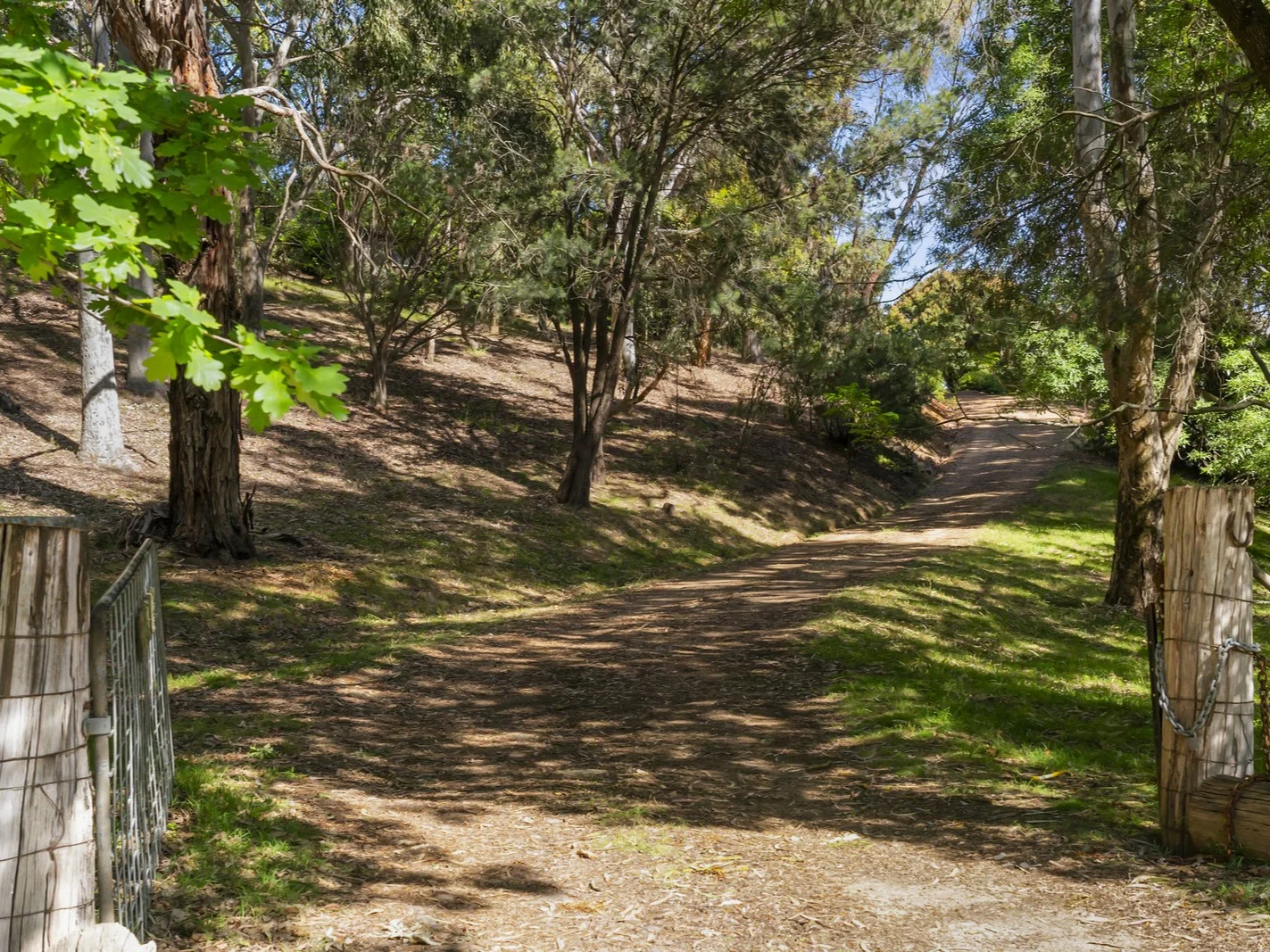 Image 15