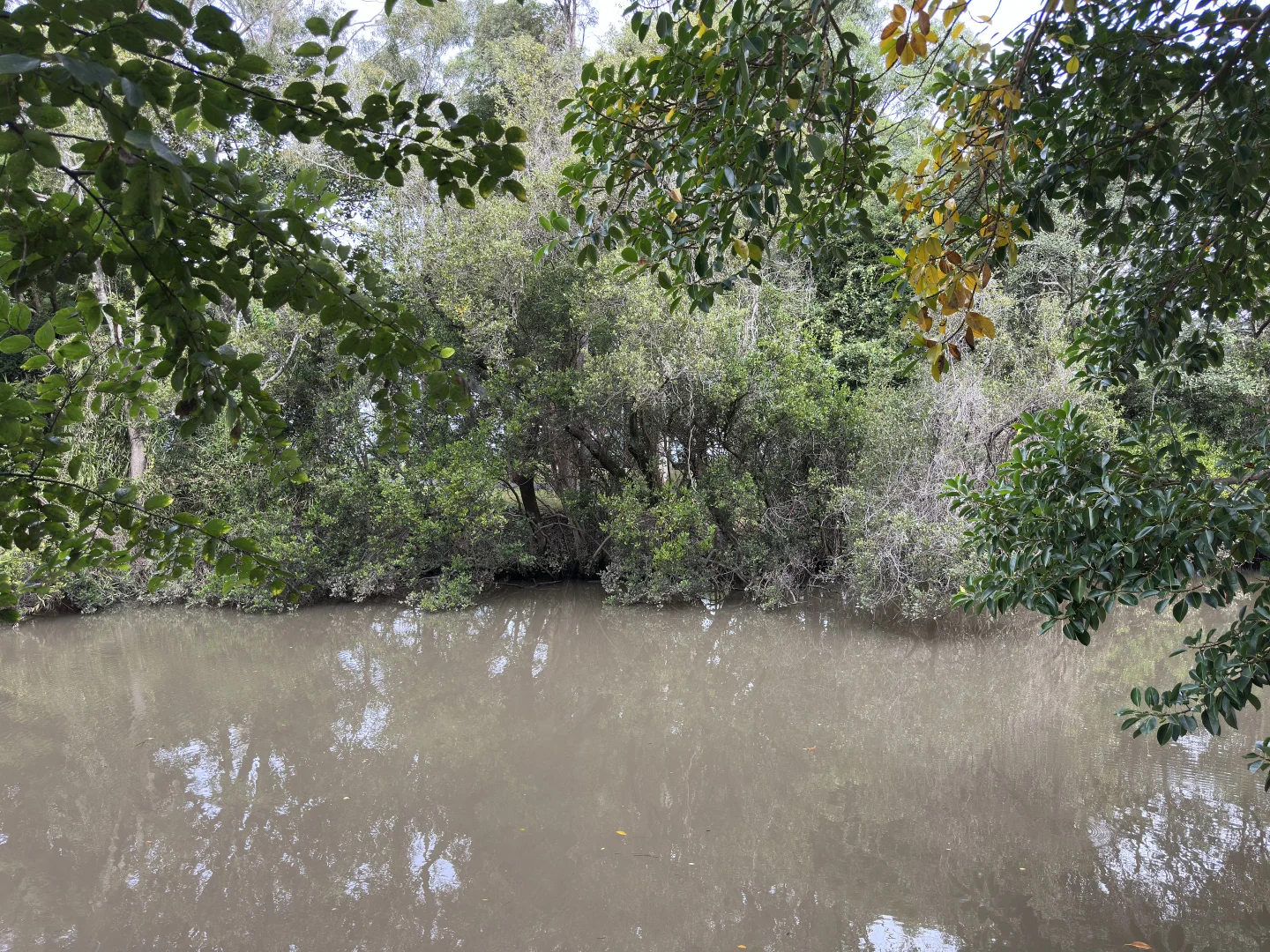 Additional image 38 of 22 Crescent Avenue, Taree NSW 2430