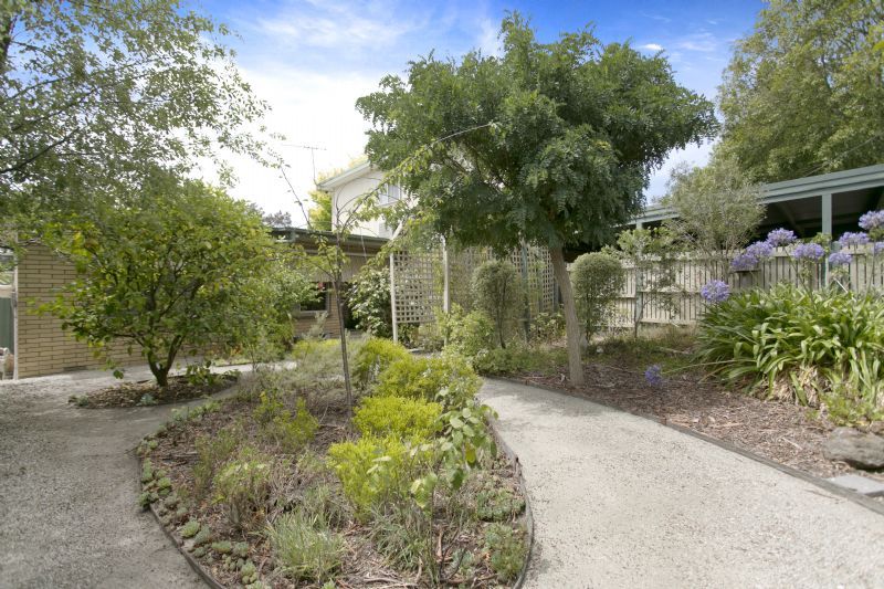 16 Lloyd St, Langwarrin VIC 3910, Image 1