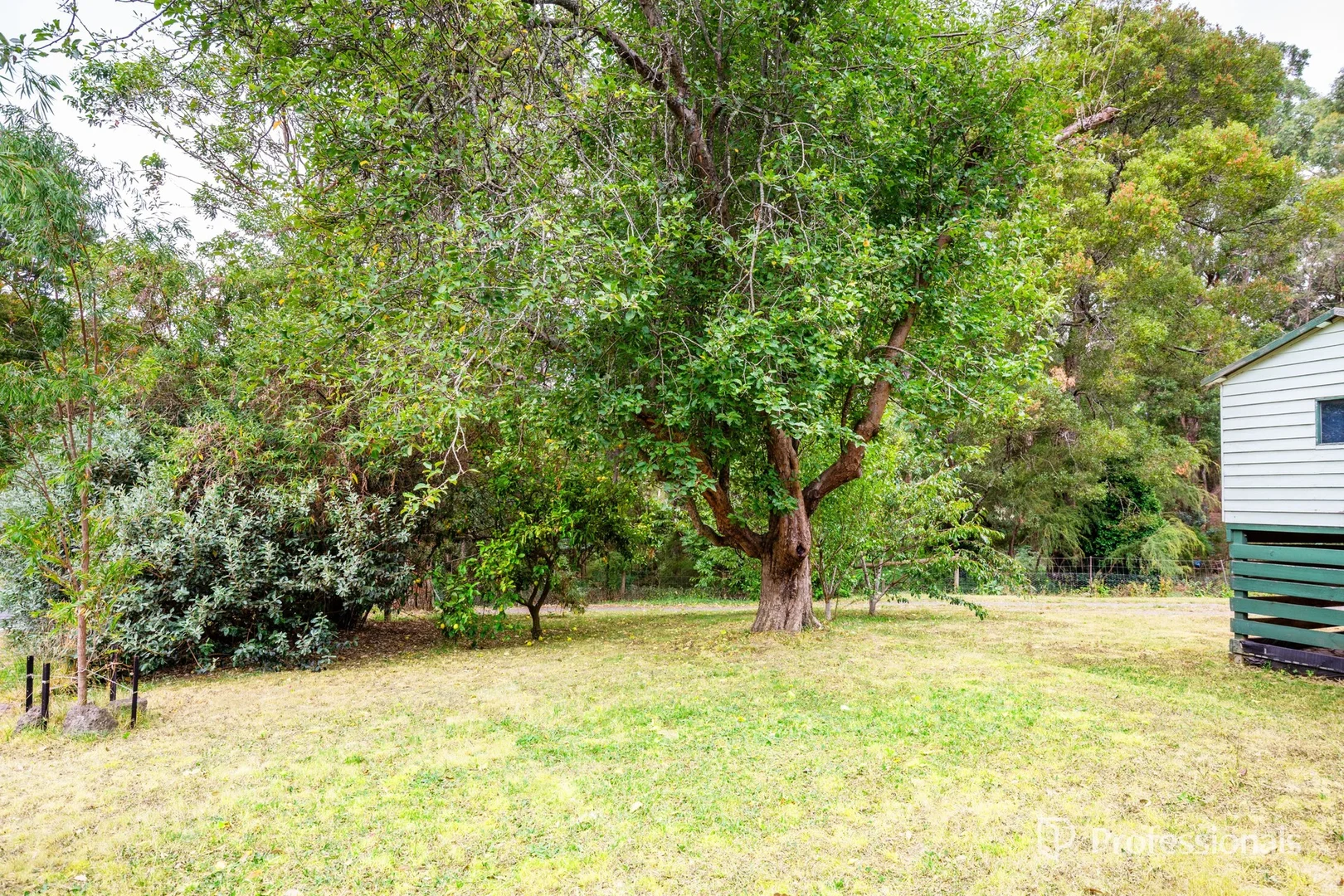 Image 23