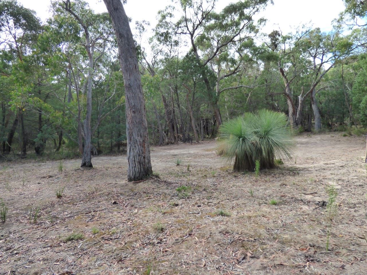 Lot 6 Grampians Road, Halls Gap VIC 3381, Image 1