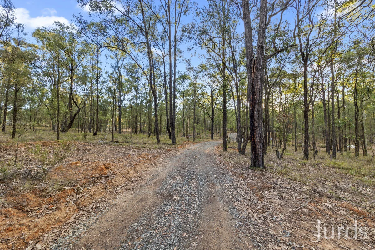 Image 14