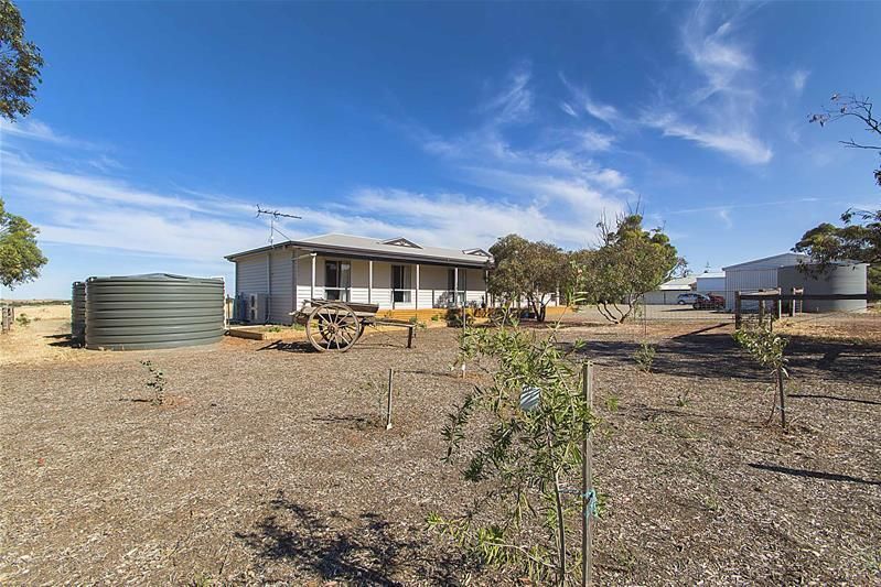 Lot 52 Scott Street, Dutton SA 5356, Image 0