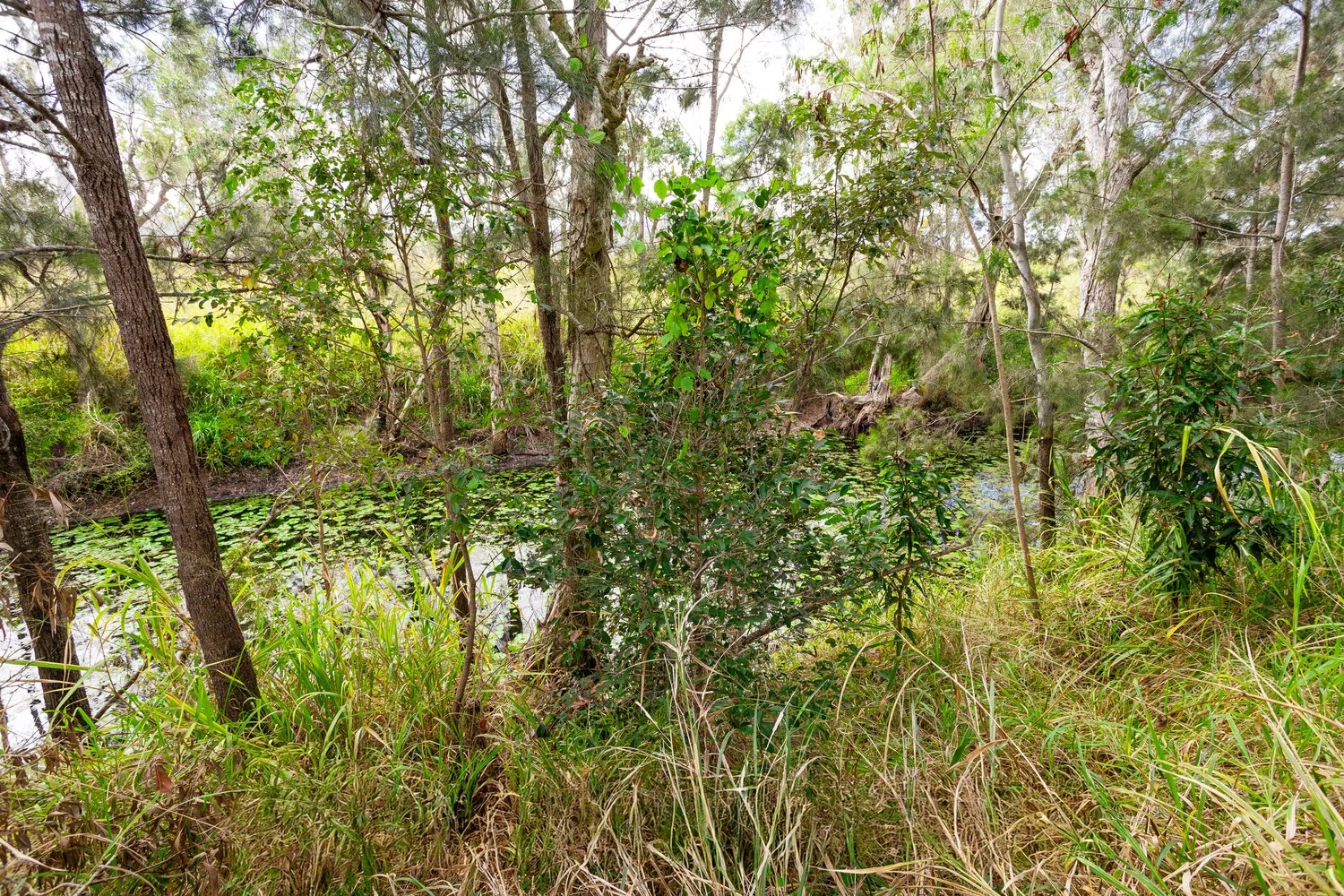 Image 21