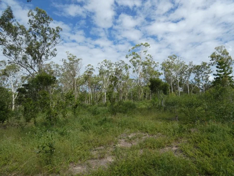 Image 33