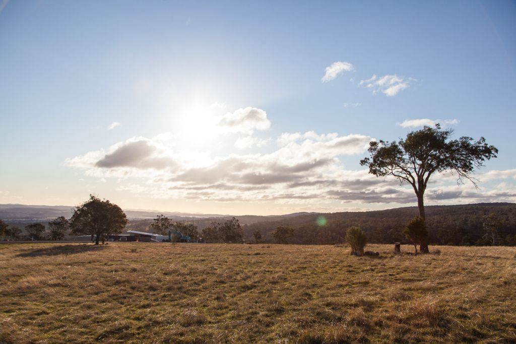 74 White Gum Rise, St Leonards TAS 7250, Image 0