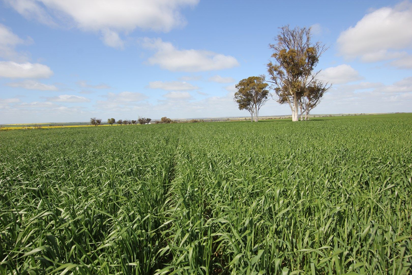 Lots York-Merredin Road, Shackleton WA 6386, Image 0