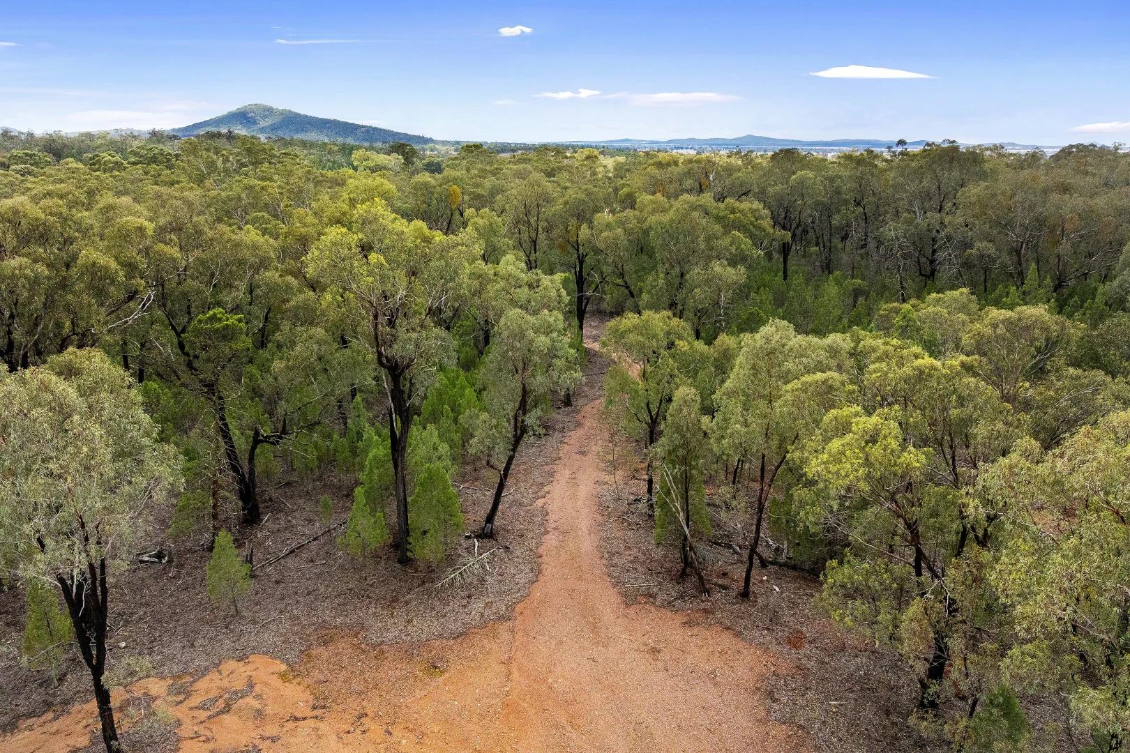 Additional image 4 of 680 Schlunkes Lane, Temora NSW 2666