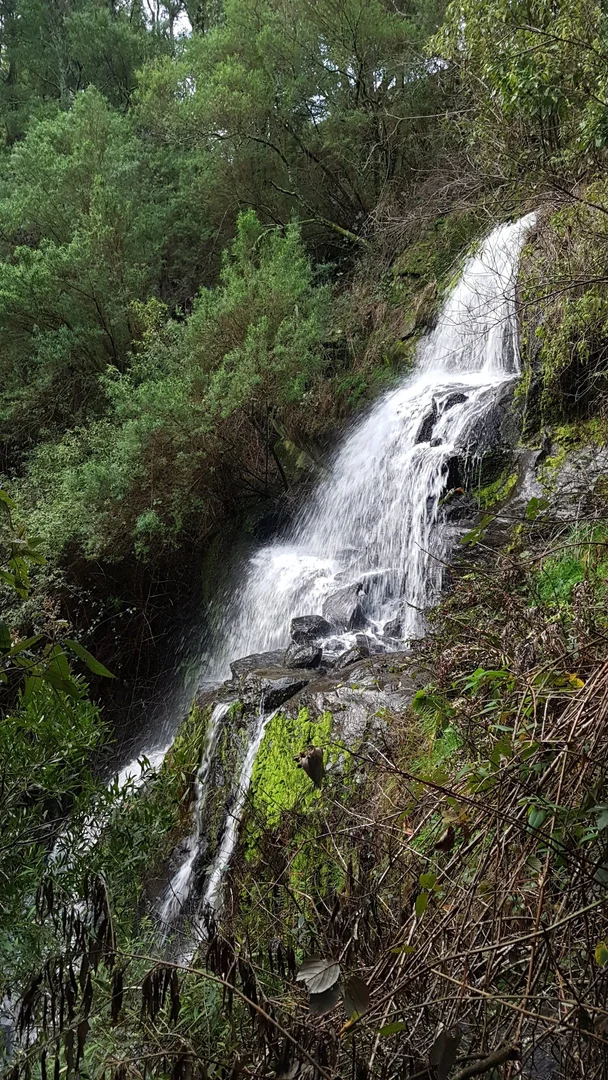 Additional image 29 of 236 Ferndale Road, Ferndale VIC 3821