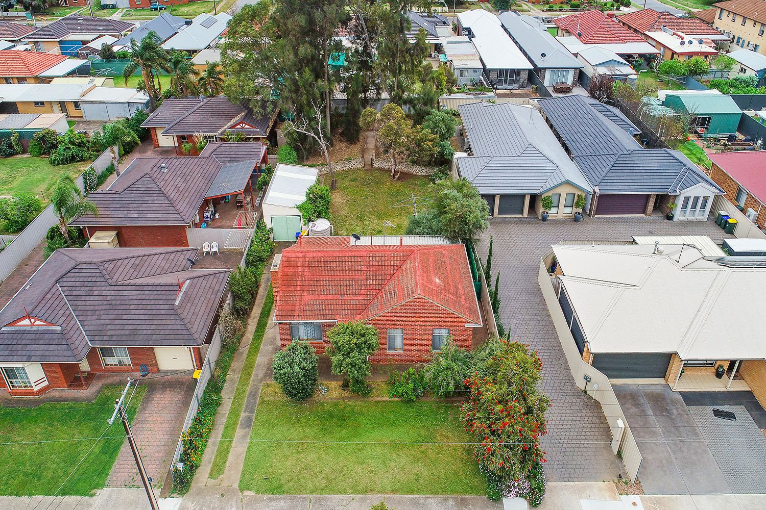 24 Alfred Avenue, Seaton SA 5023, Image 2