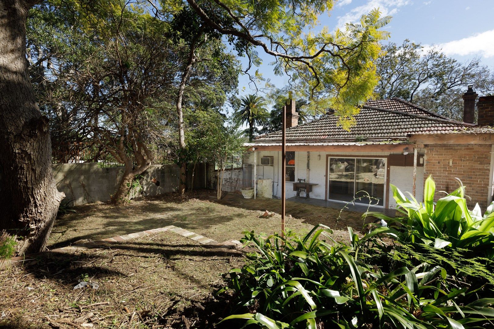 1 Alexandra Lane, Glebe NSW 2037, Image 0