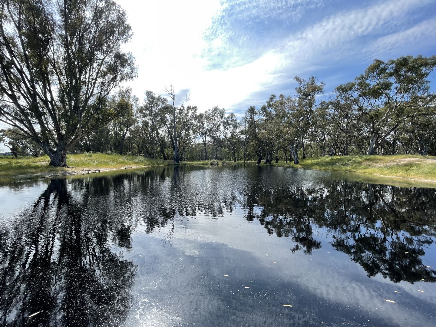 . O'Keeffe Road, Culcairn NSW 2660 Farm for Sale Domain