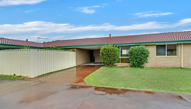 Picture of 14H White Street, EAST BUNBURY WA 6230