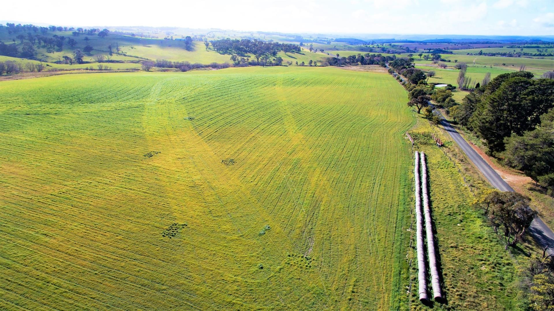 1282 Triangle Flat Road, Triangle Flat Property History & Address