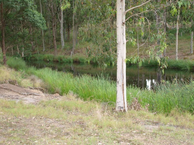 324 Wollong Road, Quorrobolong NSW 2325, Image 2