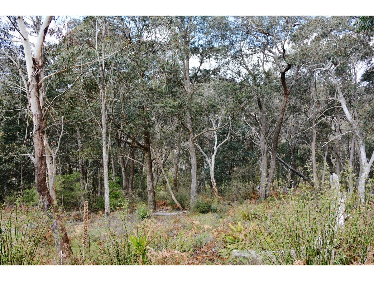 83 Seventh Avenue, Katoomba NSW 2780, Image 2