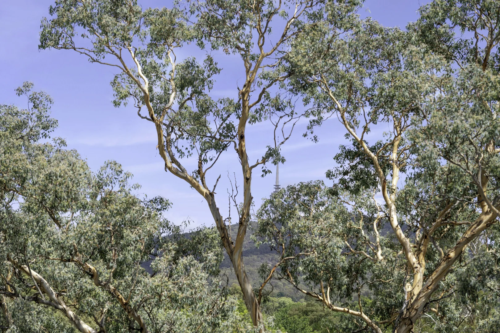 Image 17