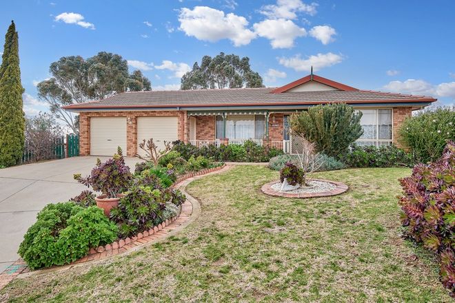 Picture of 5 Telopea Place, JUNEE NSW 2663