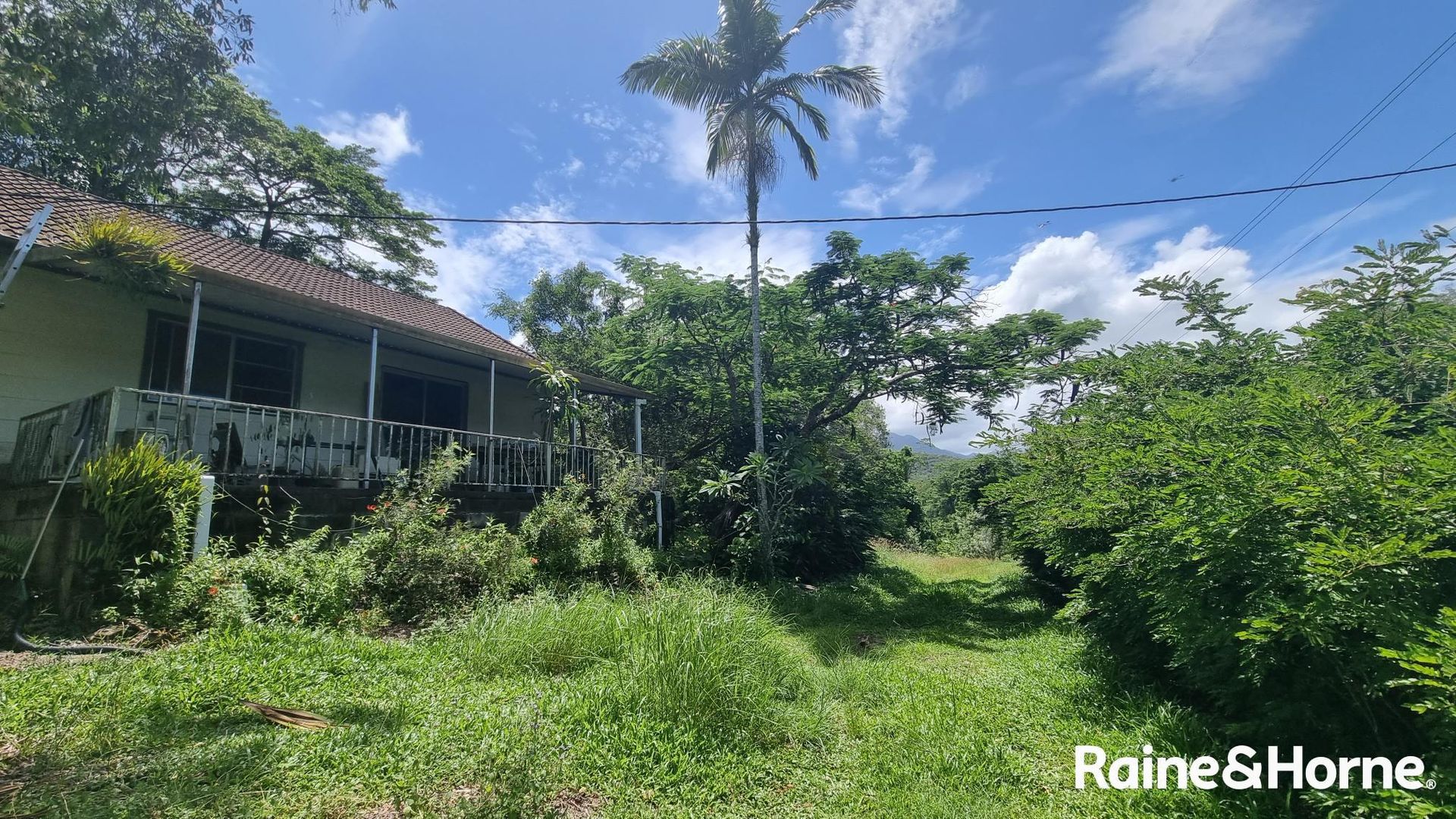 146 Cassowary Road, Cassowary QLD 4873, Image 2