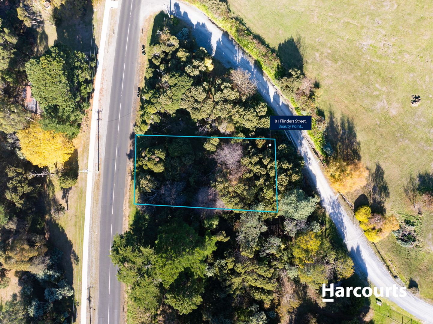 81 Flinders Street, Beauty Point TAS 7270, Image 1